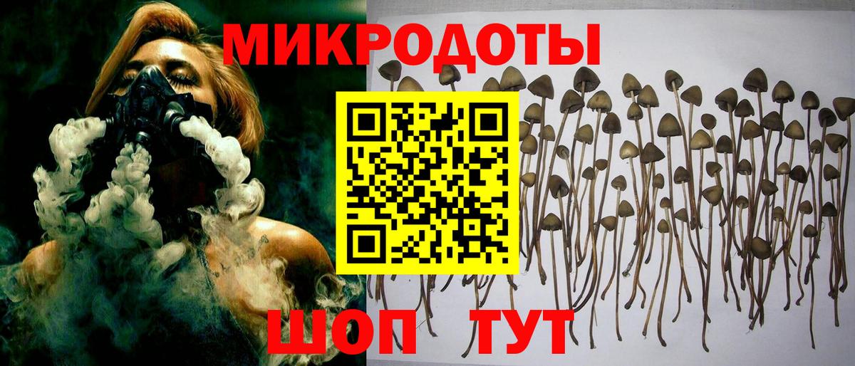 Псилоцибиновые грибы Magic Shrooms  Вход с VPN  Котовск  Галлюциногенные грибы ЛСД 
